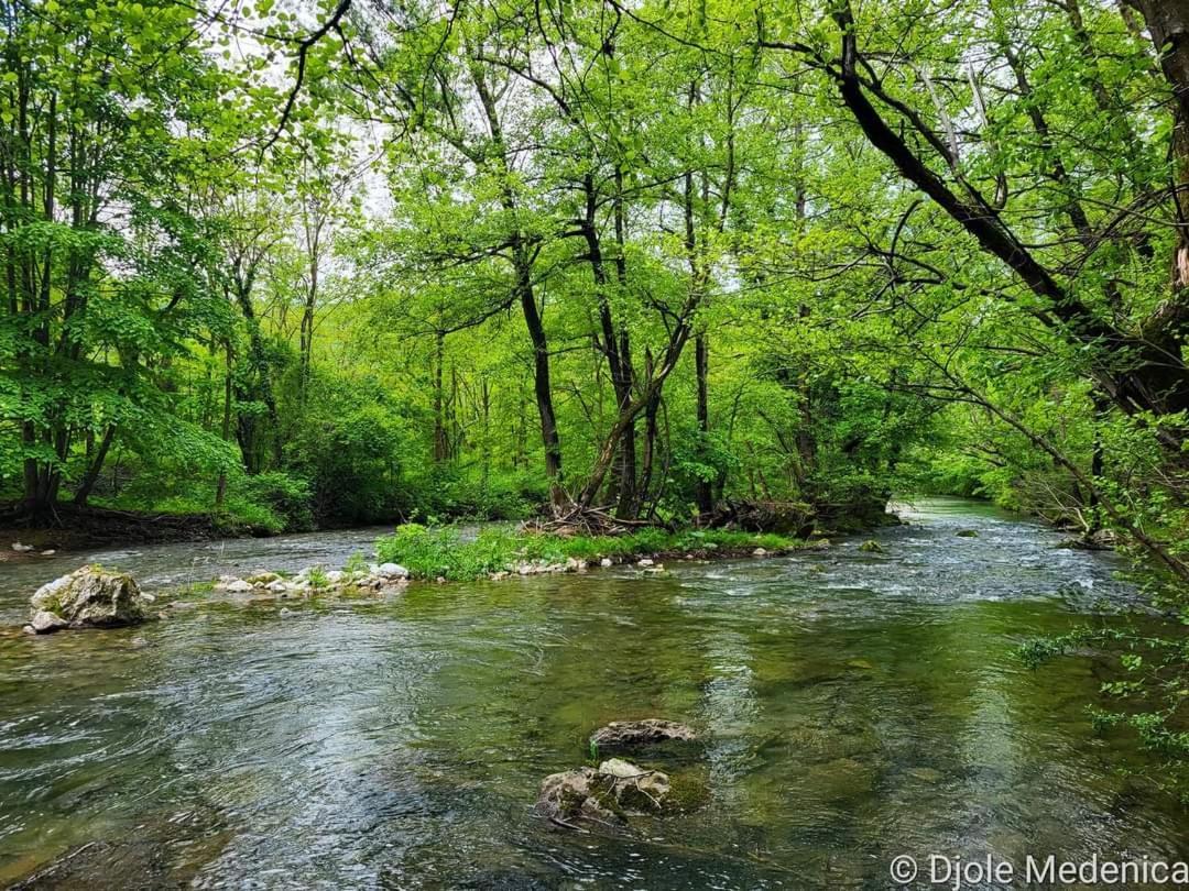 Apartman Cherry Gradac Valjevo Exteriör bild